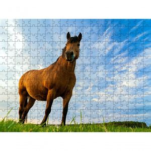 Quebra-cabeça Inclusivo 300 Peças Cavalos De Elite Que Encantam E Ensinam
