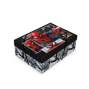Caixa Retângular Com Tampa Homem Aranha M 35x25x11 - 01 Un
