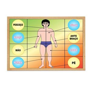 Quebra Cabeça Corpo Humano Base Mdf Com 16 Peças - Carlu