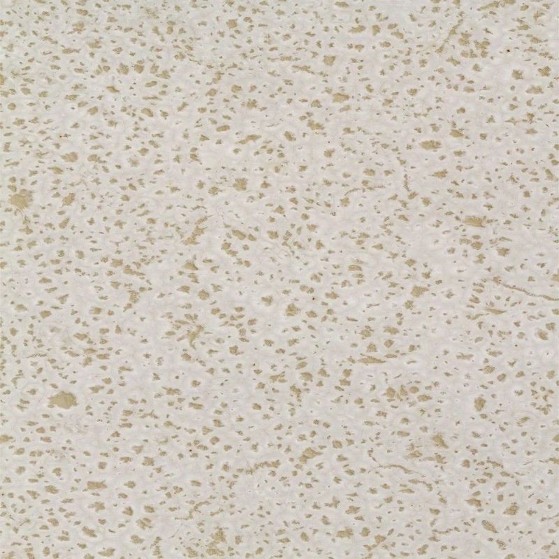 MKP001359003321-6