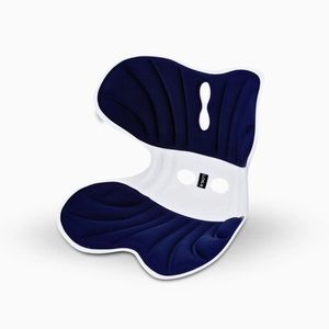 Almofada De Apoio Lombar Cadeira Correção De Coluna G - Azul