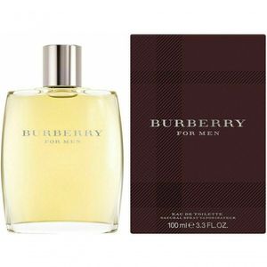 Perfume Colônia Masculina Burberry 100 Ml Eau De Toilette