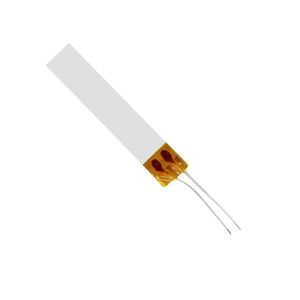 Resistência Prancha Chapinha Titanium Bivolt Salles Profissional