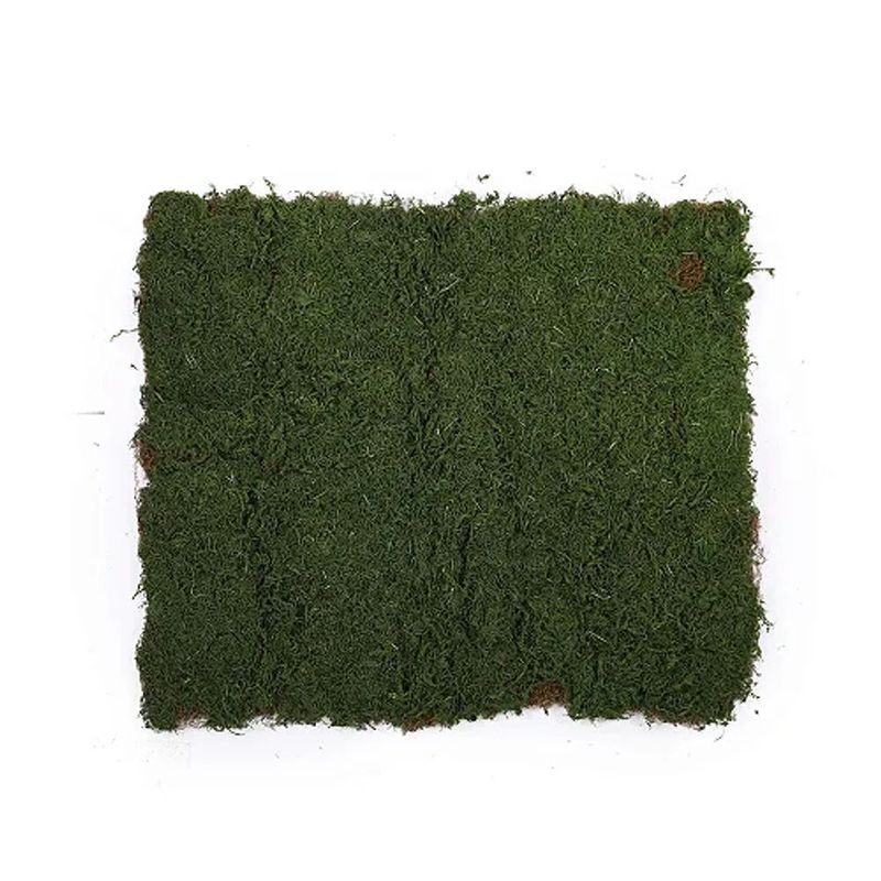 MKP005313007767-1
