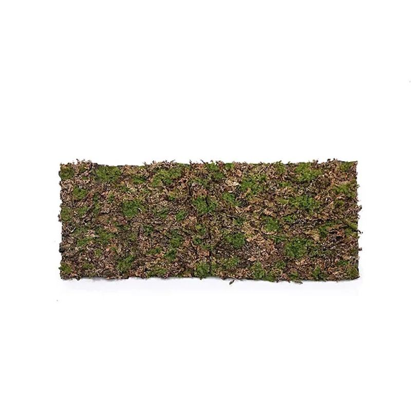 MKP005313007770-1