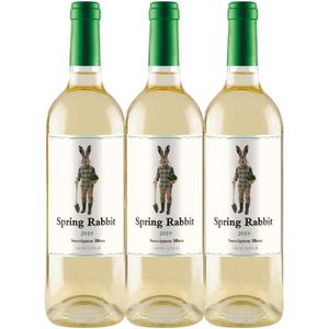 Vinho Branco Spring Rabbit Sauvignon Blanc 750ml (3 Und)