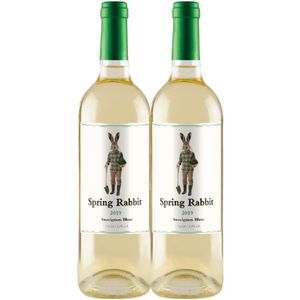 Kit 2 Garrafas Vinho Branco Spring Rabbit Sauvignon Blanc 750ml
