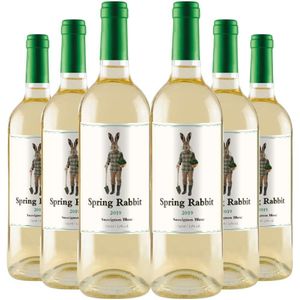 Kit 6 Garrafas 750ml Vinho Branco Spring Rabbit Sauvignon Blanc 750ml