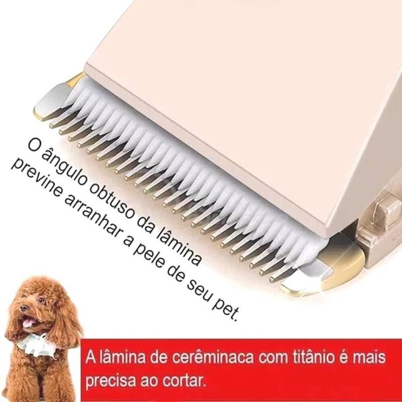 MKP006039001636-8
