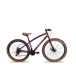 Bicicleta Aro 29 Vancouver 21 Marchas Freio A Disco Colli Roxo