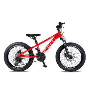 Bicicleta Aro 20 Colli Dublin Shimano 8v Vermelho