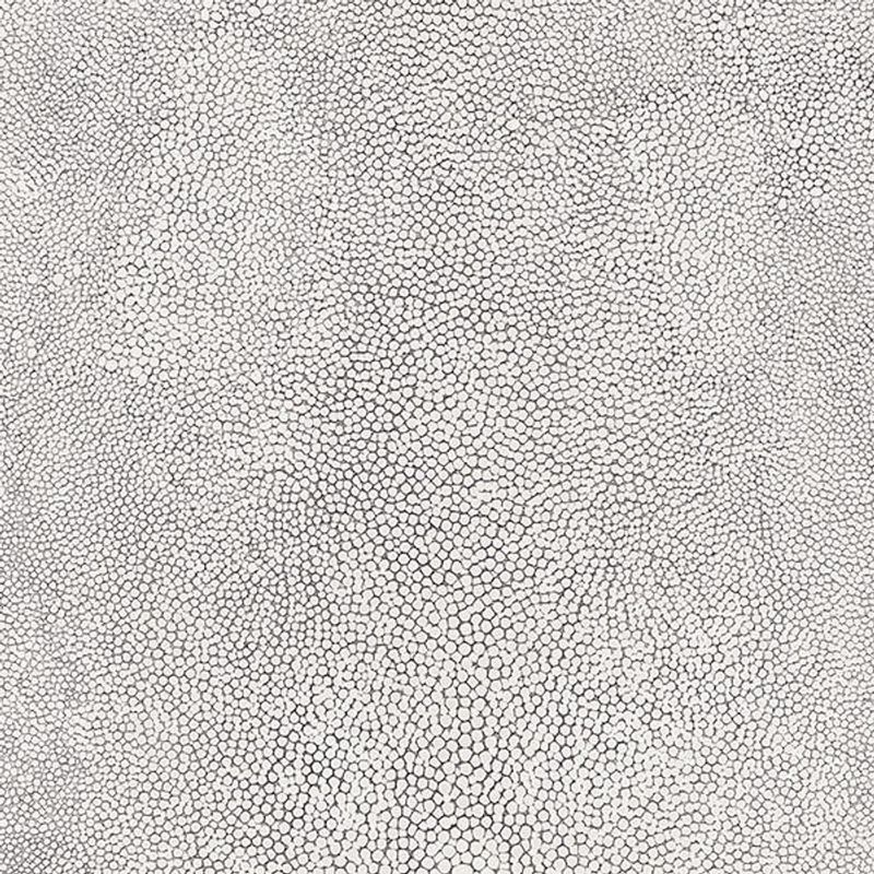 MKP005540012311-1