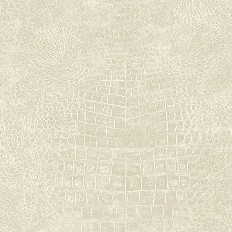 MKP005540012312-1