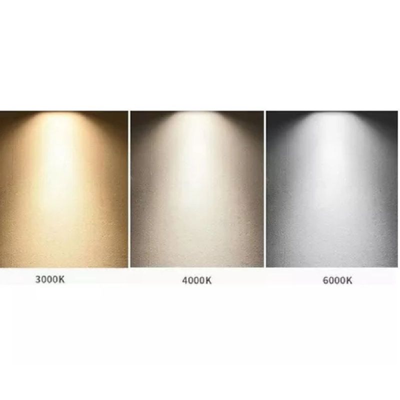 MKP006122000238-3