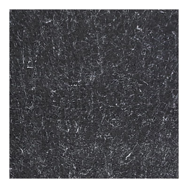 MKP001561004717-1