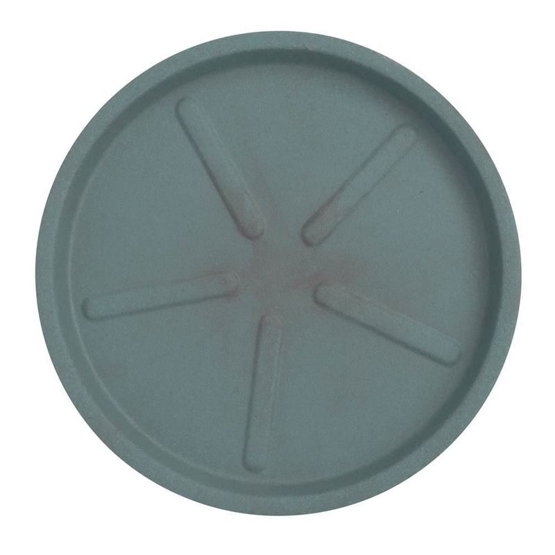 MKP004906000164-1