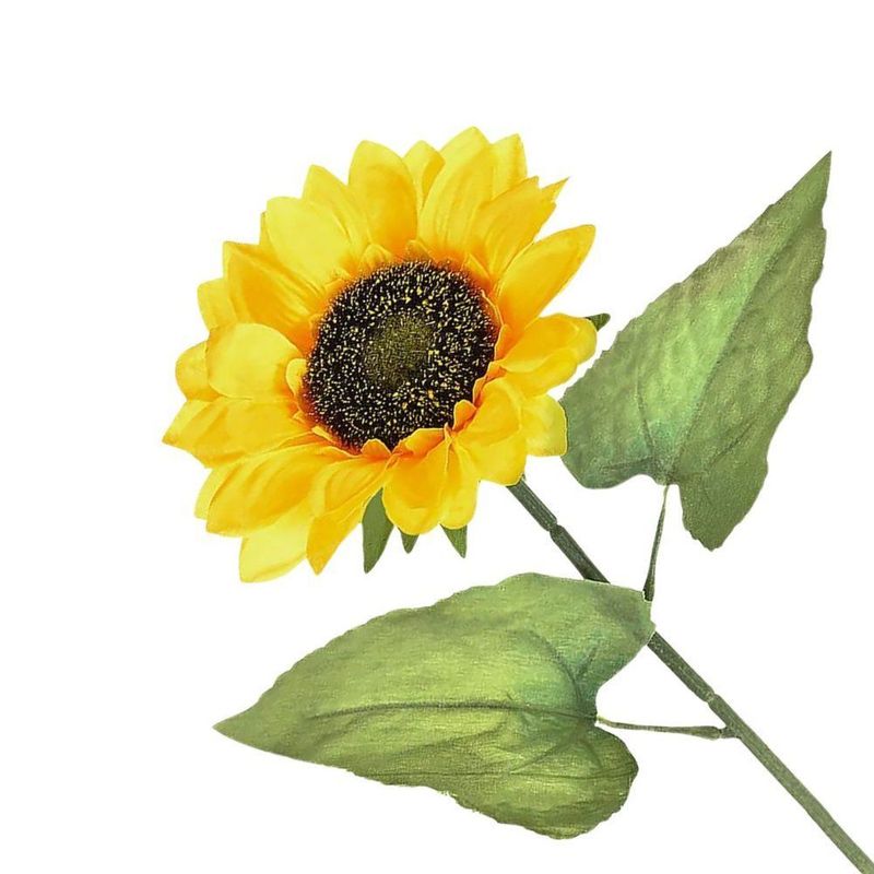 MKP004892002376-2