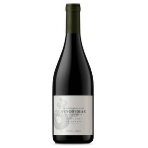Vinho Tinto Uruguaio Michelini I Mufatto Vinos De Mar Pinot Noir