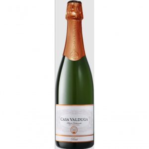 Espumante Casa Valduga Brut Arte