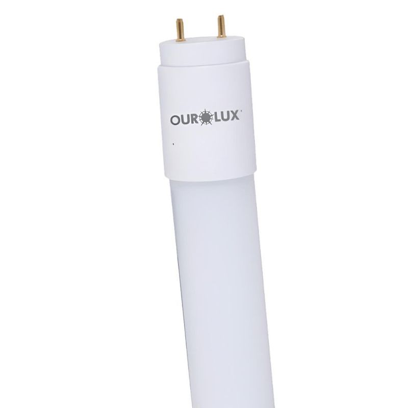 MKP006306000519-1